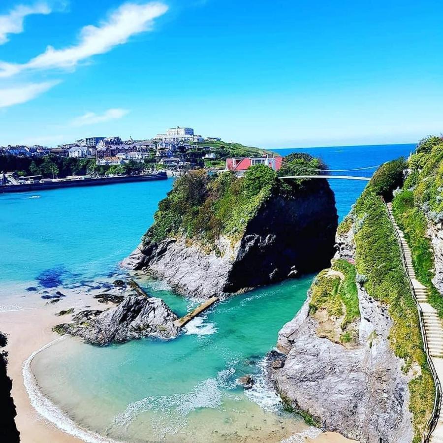 Lazy Waves Boutique B&B New Quay エクステリア 写真